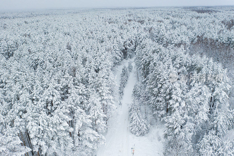 鸟瞰图的混合森林覆盖着雪。