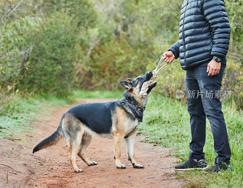 一个认不出来的男人和他可爱的德国牧羊犬在公园里玩耍