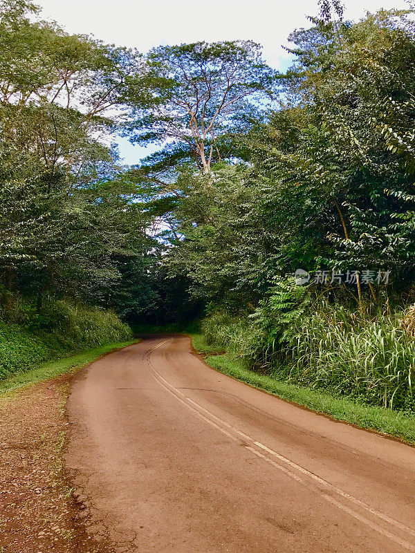 夏威夷的道路