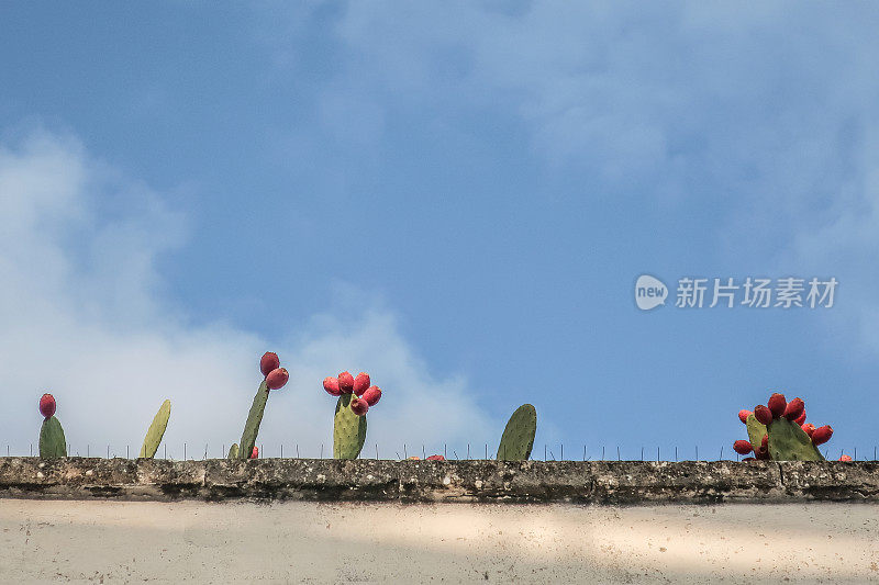 意大利普利亚，风景如画的奥斯图尼镇