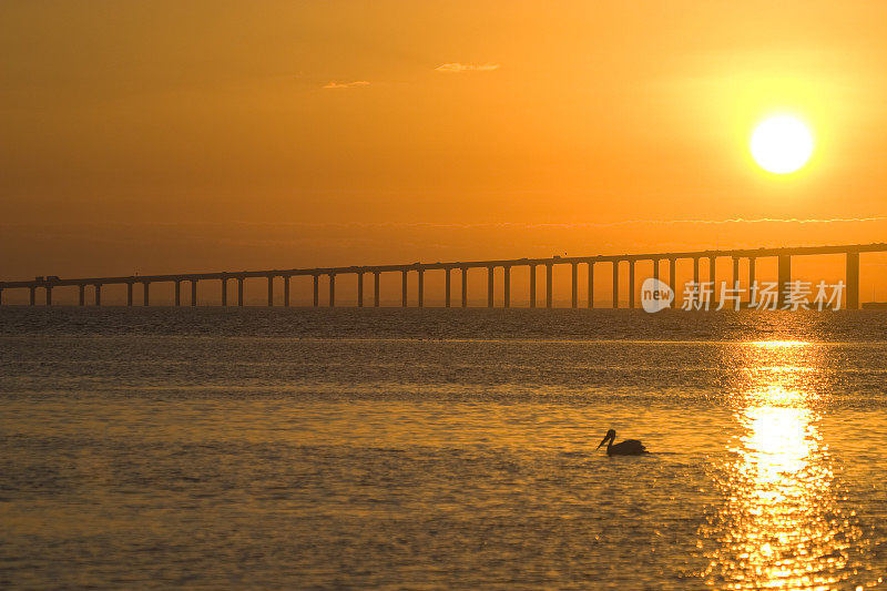 鹈鹕和坦帕湾，FL高架桥堤在日出