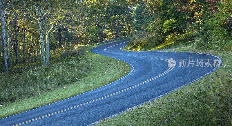 蜿蜒的道路