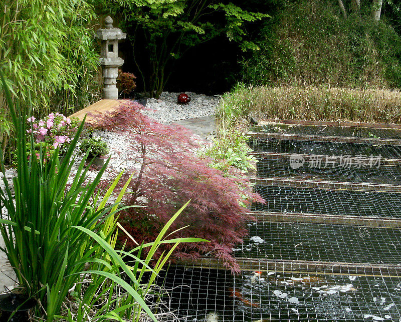 一个花园锦鲤池的图像，有安全罩。