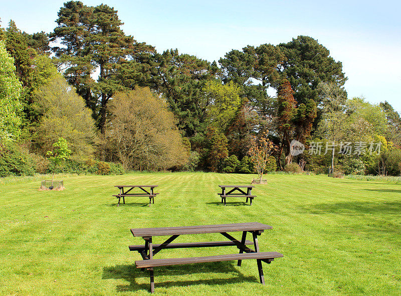 公园里木制的野餐桌和树木