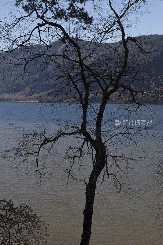 树山湖