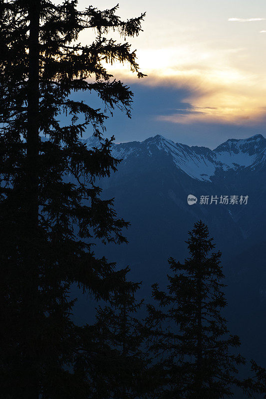 阴影中的云杉和黄昏时的Wetterstein山脉