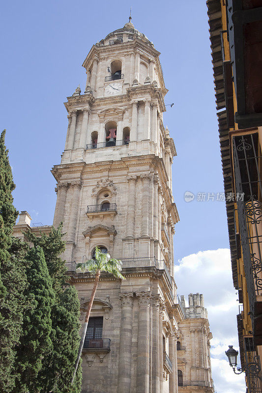 Málaga大教堂塔从街道下面。