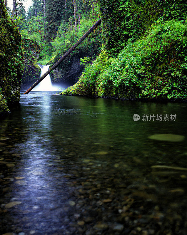 宁静的游泳池与河石Punchbowl瀑布4x5电影