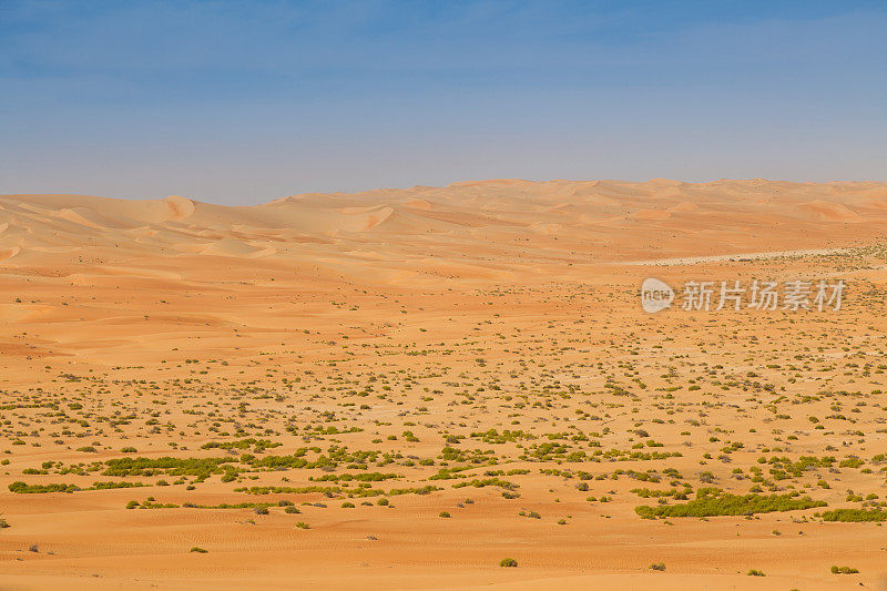 阿拉伯联合酋长国的沙漠