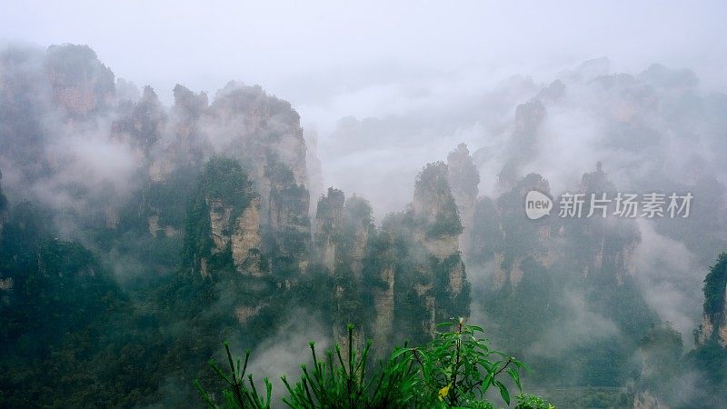 雄伟的山峰耸立在云海中