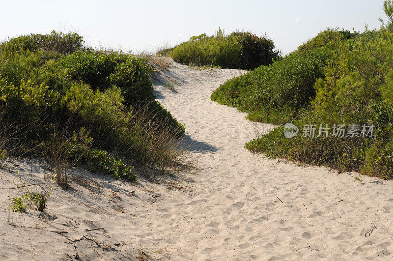 沿着沙丘走到海滩