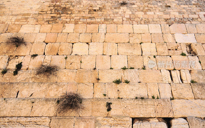 耶路撒冷:哭墙-科特尔