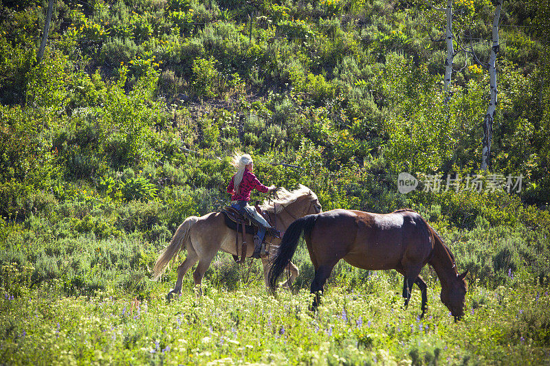 一个女牛仔骑着她的马穿过田野。