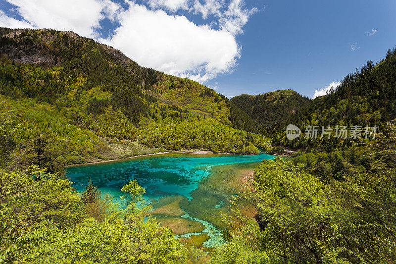 中国四川九寨沟的五花湖