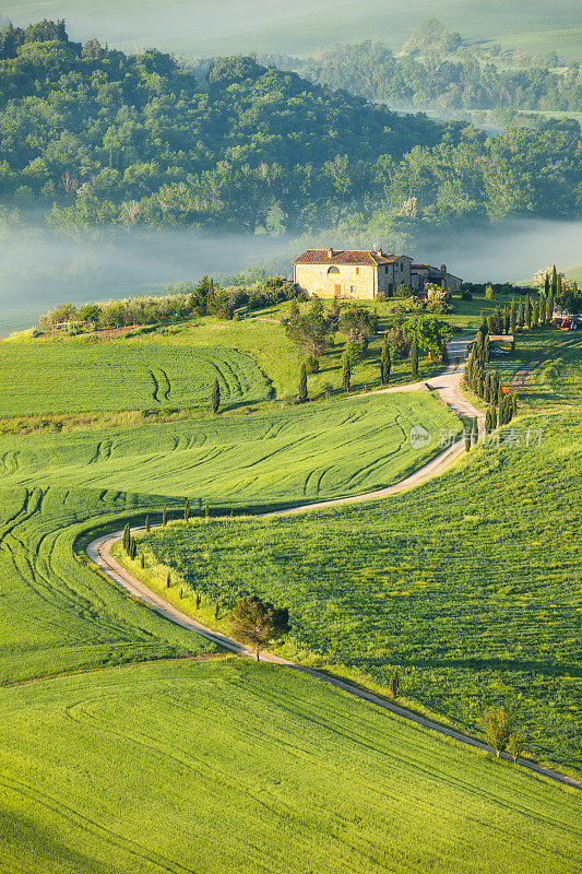 蜿蜒的乡村道路在滚动的风景，托斯卡纳，意大利