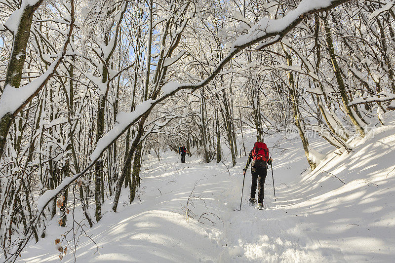 冬天在巴尔多山穿雪鞋