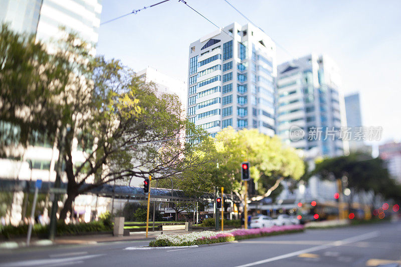 惠灵顿市中心街道，新西兰