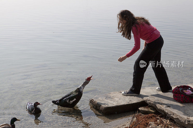 一个意大利少女在湖边喂鸭子