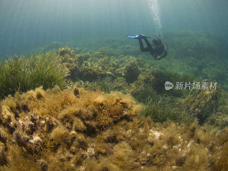 在地中海暗礁上潜水的人