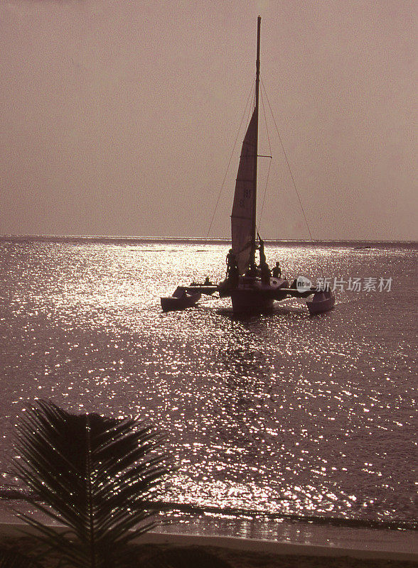 在夕阳下，双体帆船离开海滩，驶进加勒比海，在罗阿坦湾群岛，洪都拉斯中部