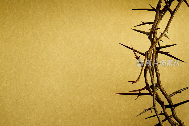 荆棘冠代表耶稣在受难日被钉十字架