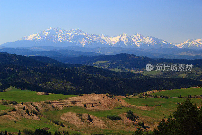 春天。Tatra山上。从波兰一侧的松树山