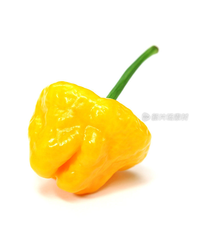黄色哈瓦那辣椒