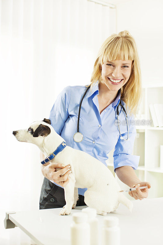 微笑的兽医给狗注射疫苗。