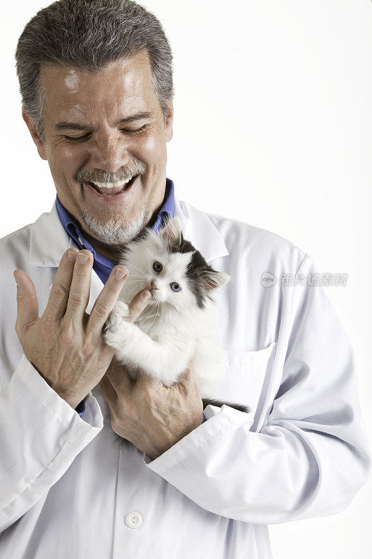 顽皮的小猫和兽医