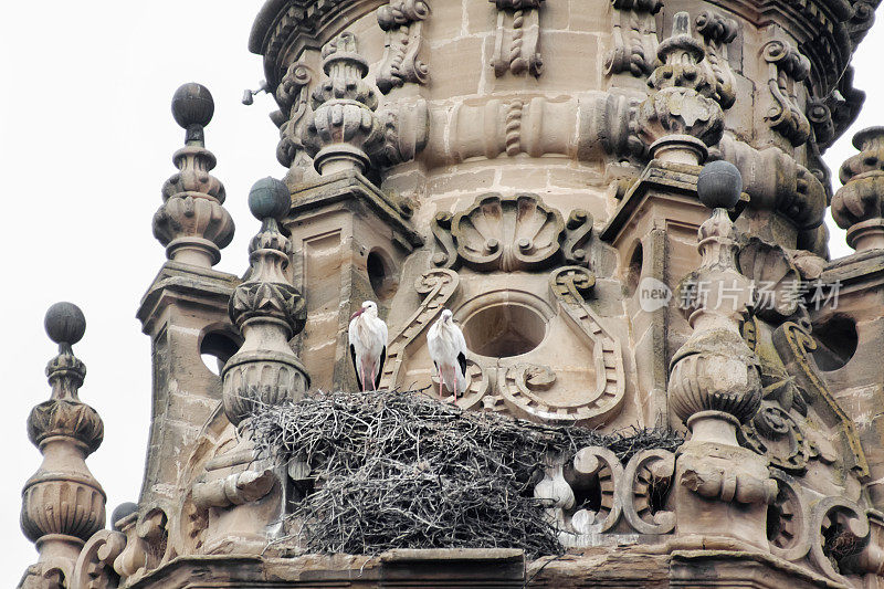 巴洛克式教堂塔与鹳巢。