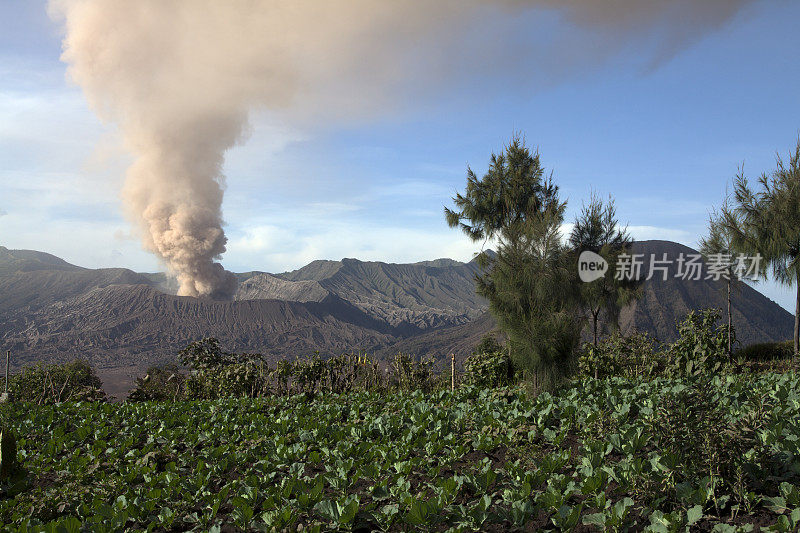 从塞梅拉罗龙村看到的布罗莫山