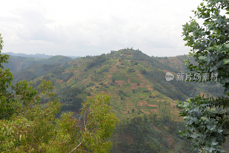 卢旺达基贝霍地区的农村