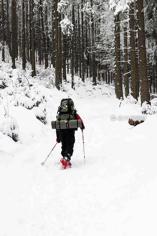 在冬季森林里徒步旅行的人。