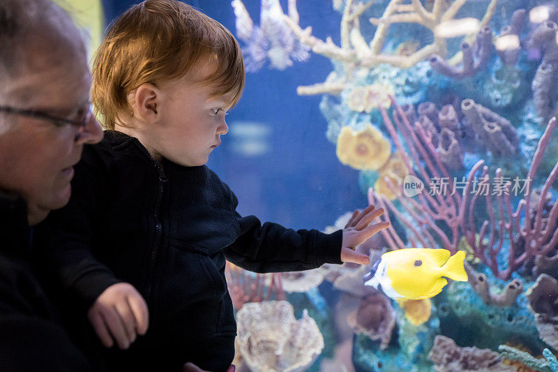 爷爷和孙子在水族馆看鱼