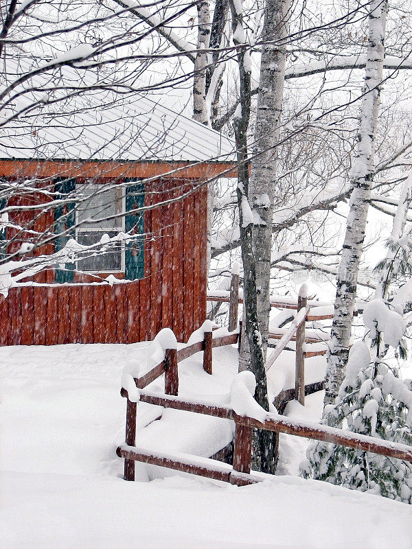 暴风雪期间被雪覆盖的湖边小屋