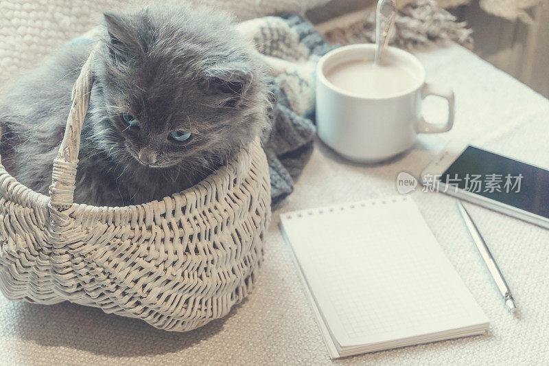 灰色毛茸茸的小猫在一个篮子里，一杯咖啡和一个手机在白色的表面上