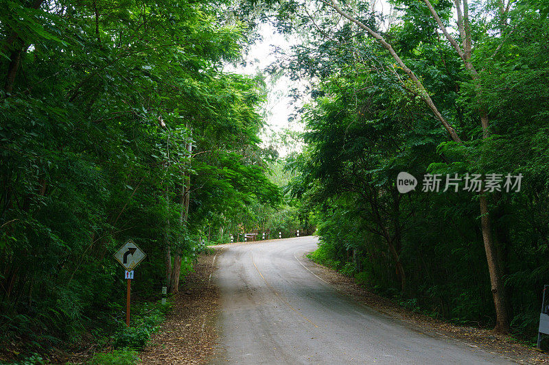 景观的柏油路弯弯曲曲，穿过绿色的森林，以直线为方向前进。泰国的乡村公路。道路旅行，通往成功的路线，旅行或努力抽象的概念。