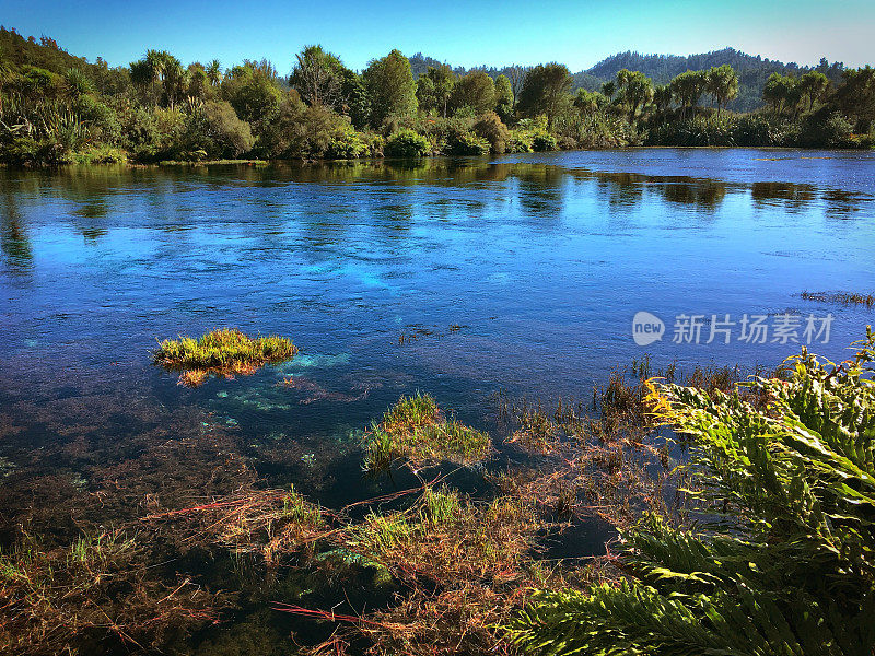 新西兰，塔卡，金湾，特怀科罗普温泉