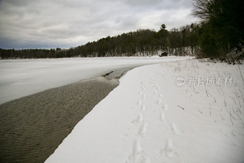 足迹，冬天的雪冰冻的冰融化的莫罗湖州立公园，纽约