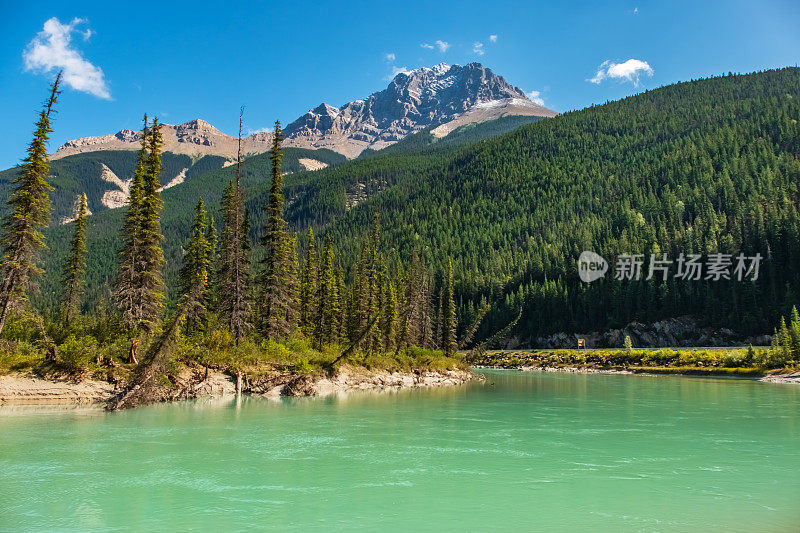 弓河和加拿大落基山脉景观