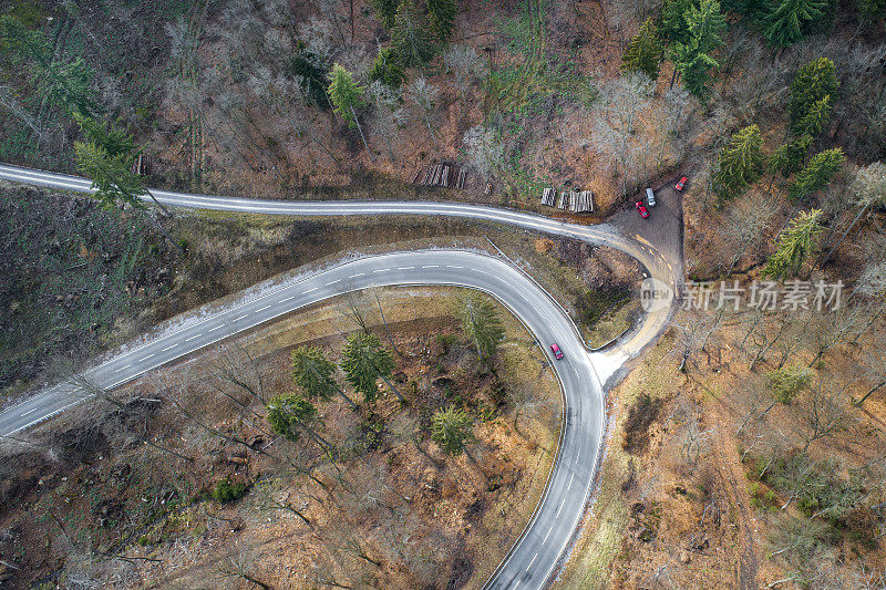 蜿蜒的道路穿过森林