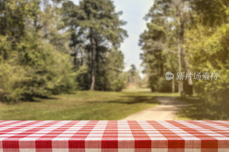 散焦的夏季公园场景与空白的野餐桌。