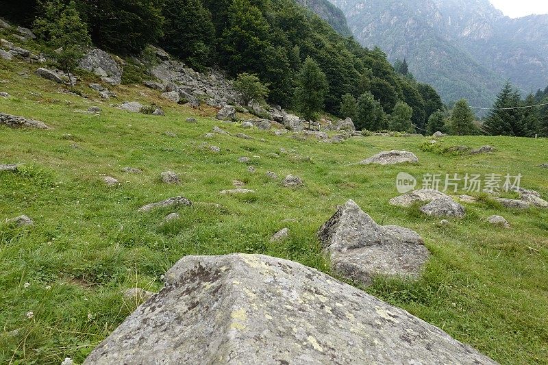 白云石山脉阿尔卑斯山