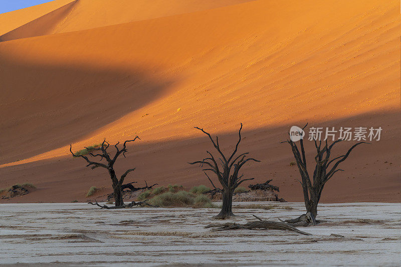 《三棵树》，《初升的太阳》，死谷，纳米比亚