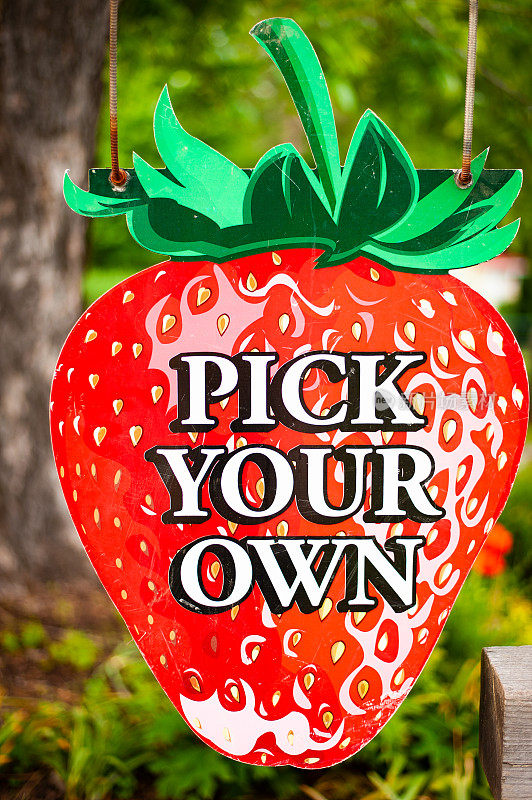 选择你自己的草莓形状的标志