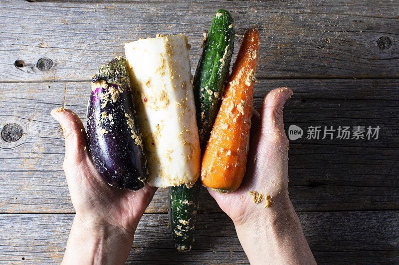 日本传统泡菜。茄子，黄瓜，小萝卜和胡萝卜。是日本祖母的手上放着腌菜。