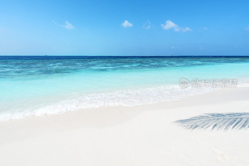 热带海滩夏季背景