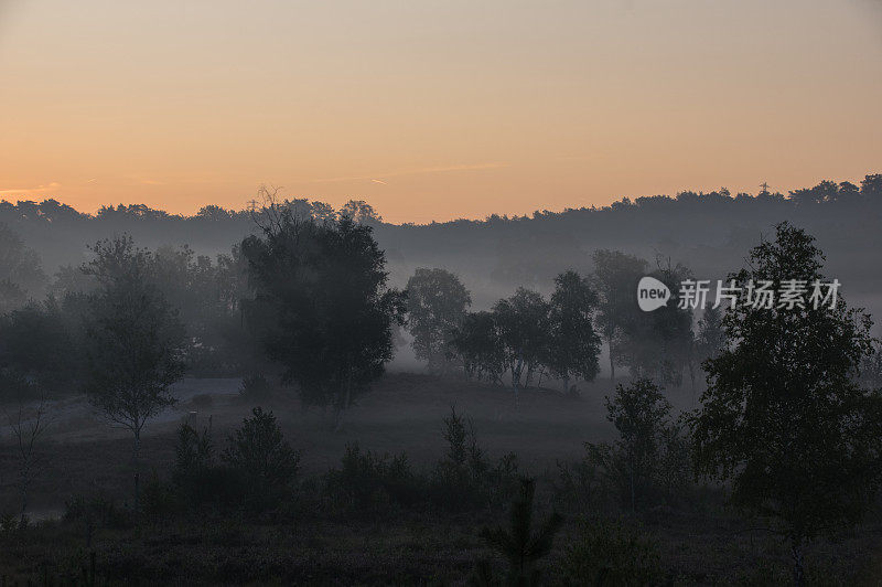 雾希思场景