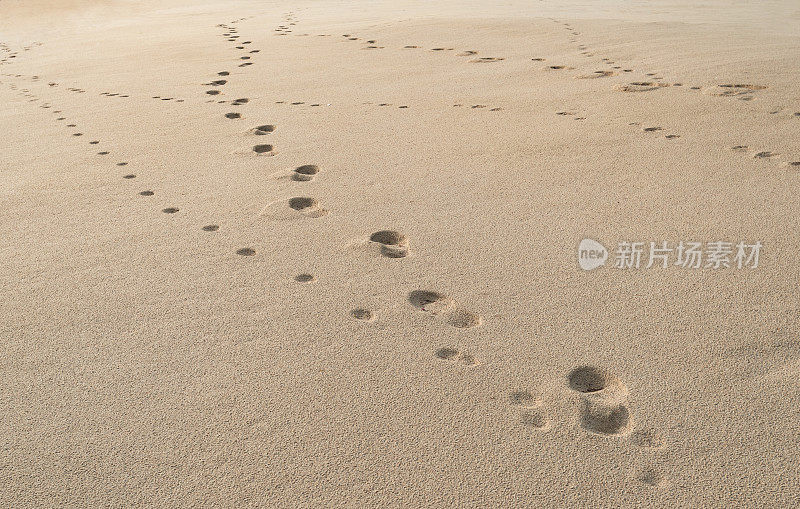 脚印在沙地上