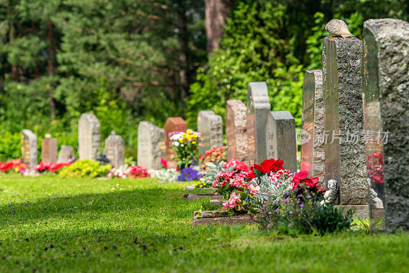 一排弯曲的墓碑上开着红色和粉红色的花